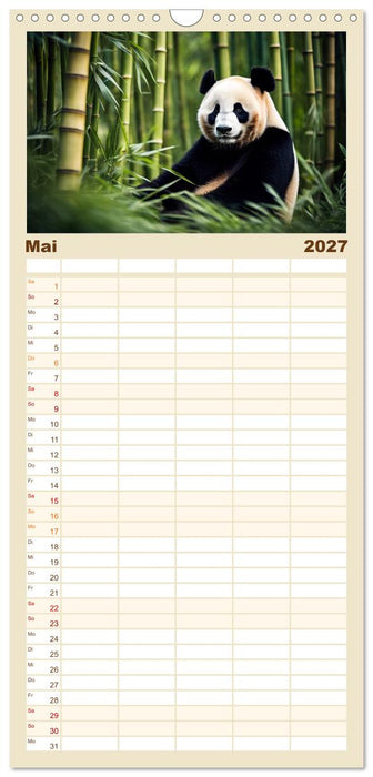 Großer Pandabär (CALVENDO Familienplaner 2027)