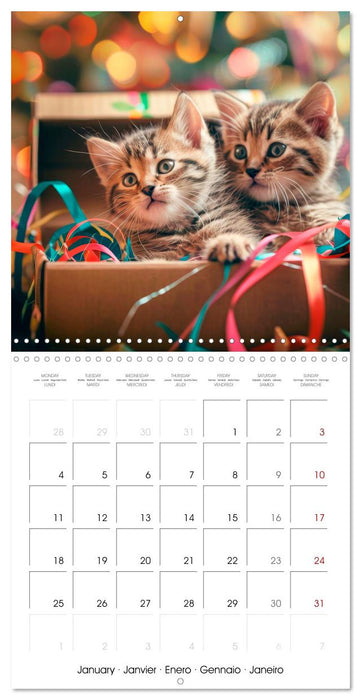 KITTEN Cuteness overload (CALVENDO Monthly Calendar 2027)