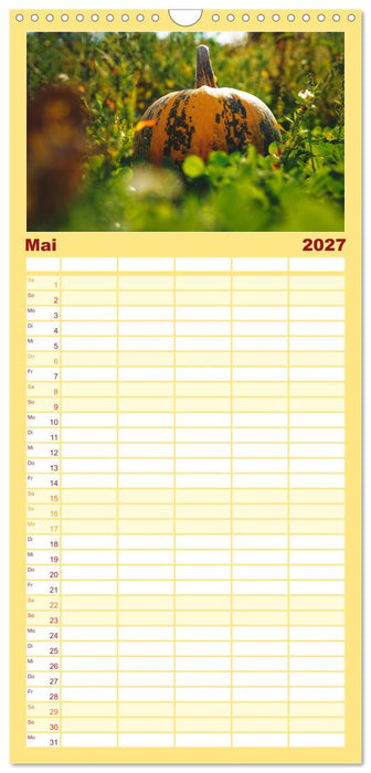 KÜRBIS KALENDER - Die schönsten Kürbisse des Jahres (CALVENDO Familienplaner 2027)