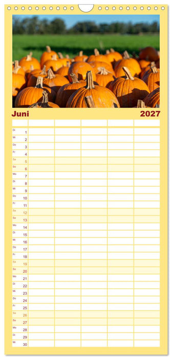 KÜRBIS KALENDER - Die schönsten Kürbisse des Jahres (CALVENDO Familienplaner 2027)