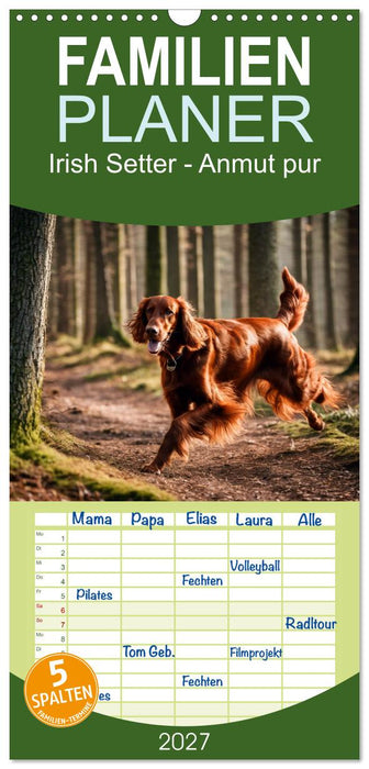 Irish Setter - Anmut pur (CALVENDO Familienplaner 2027)