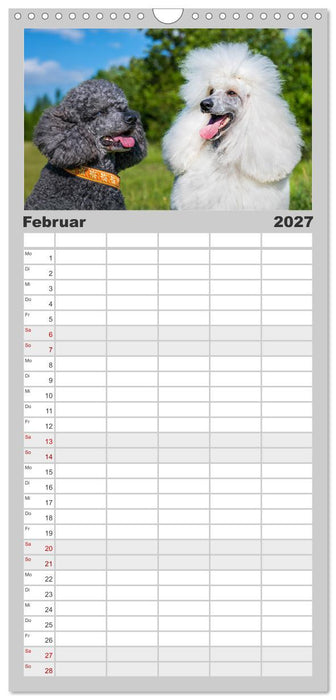 Pudel - Glück auf vier Pfoten (CALVENDO Familienplaner 2027)