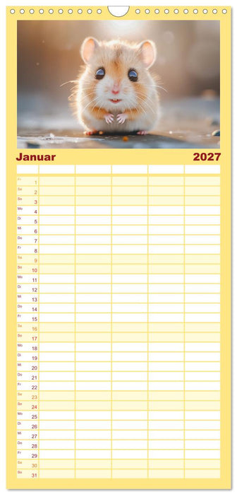 Lustige Hamster (CALVENDO Familienplaner 2027)