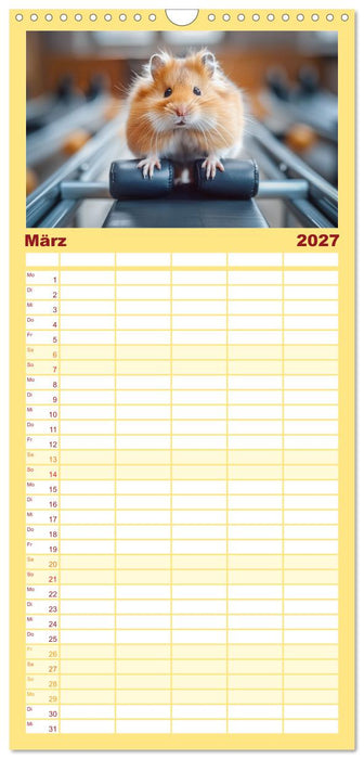 Lustige Hamster (CALVENDO Familienplaner 2027)