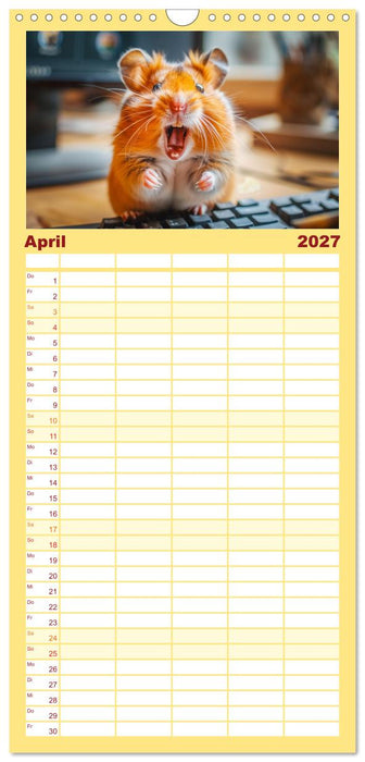 Lustige Hamster (CALVENDO Familienplaner 2027)