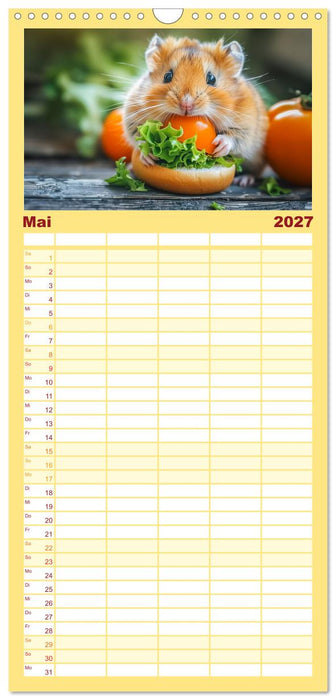 Lustige Hamster (CALVENDO Familienplaner 2027)