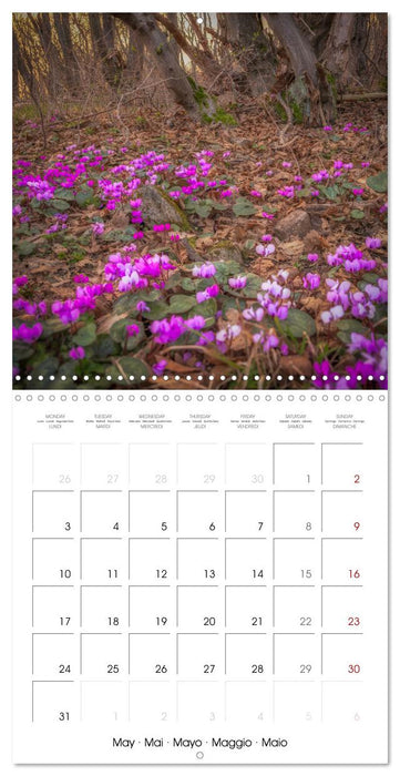 Gorgeous Germany Harz Mountains 2027 (CALVENDO Monthly Calendar 2027)