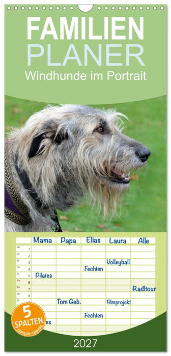 Windhunde im Portrait (CALVENDO Familienplaner 2027)