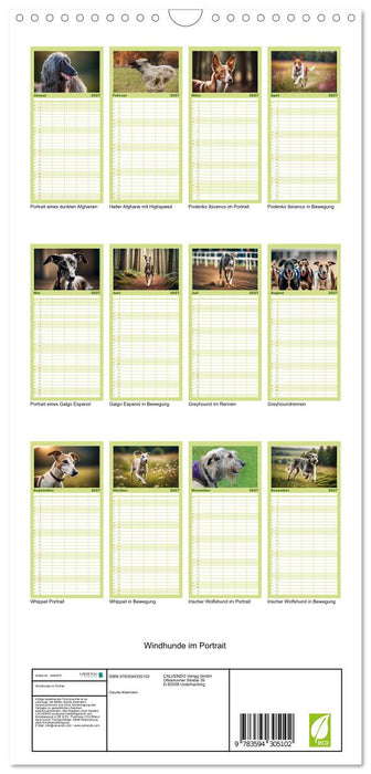 Windhunde im Portrait (CALVENDO Familienplaner 2027)