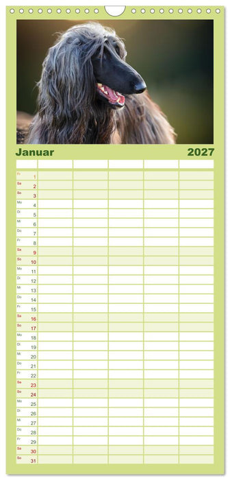 Windhunde im Portrait (CALVENDO Familienplaner 2027)