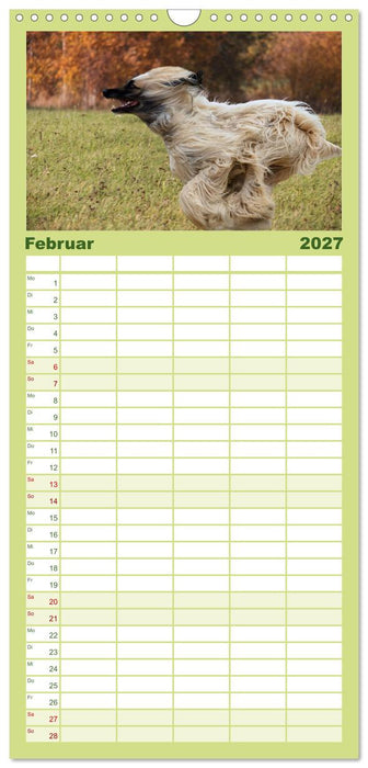 Windhunde im Portrait (CALVENDO Familienplaner 2027)