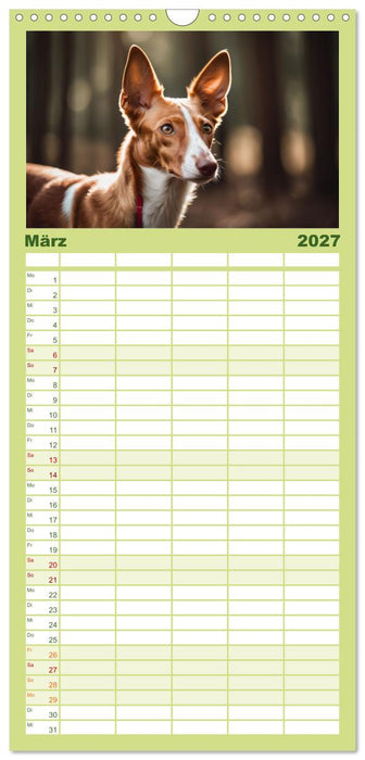 Windhunde im Portrait (CALVENDO Familienplaner 2027)