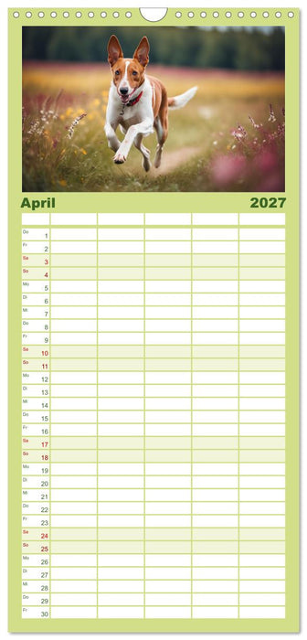 Windhunde im Portrait (CALVENDO Familienplaner 2027)