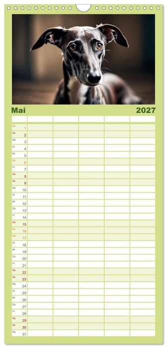 Windhunde im Portrait (CALVENDO Familienplaner 2027)