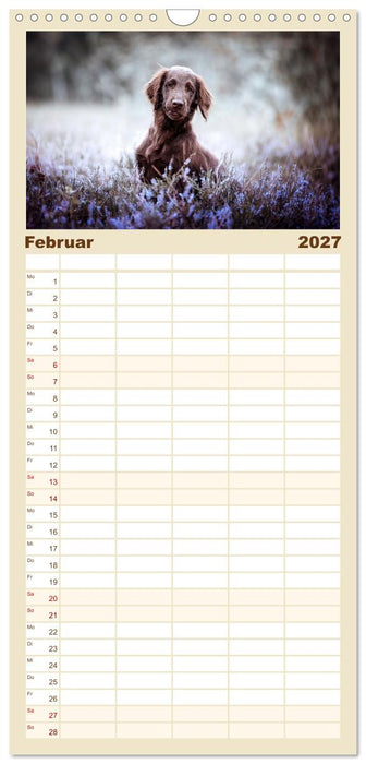 Welpenzeit - Ein Jahr voller spannender Pfotenabenteuer (CALVENDO Familienplaner 2027)