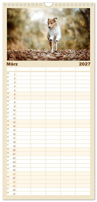 Welpenzeit - Ein Jahr voller spannender Pfotenabenteuer (CALVENDO Familienplaner 2027)