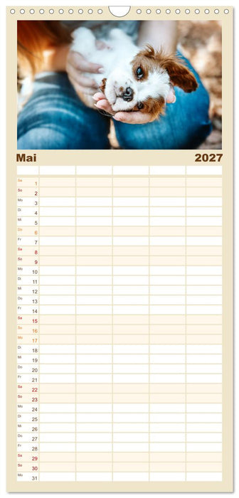 Welpenzeit - Ein Jahr voller spannender Pfotenabenteuer (CALVENDO Familienplaner 2027)