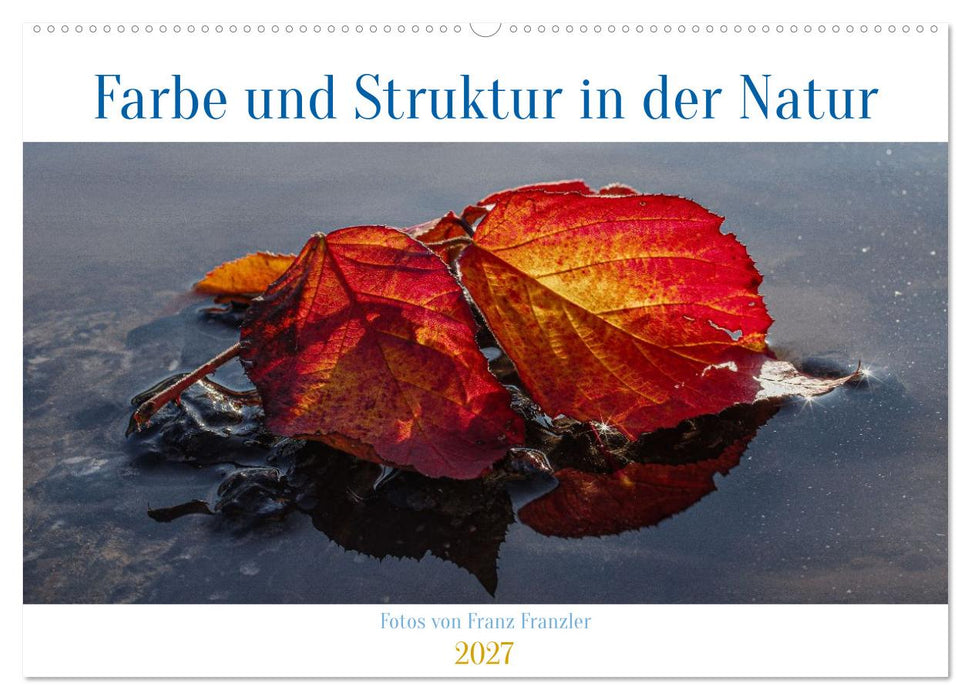 Farbe und Struktur in der Natur (CALVENDO Wandkalender 2027)