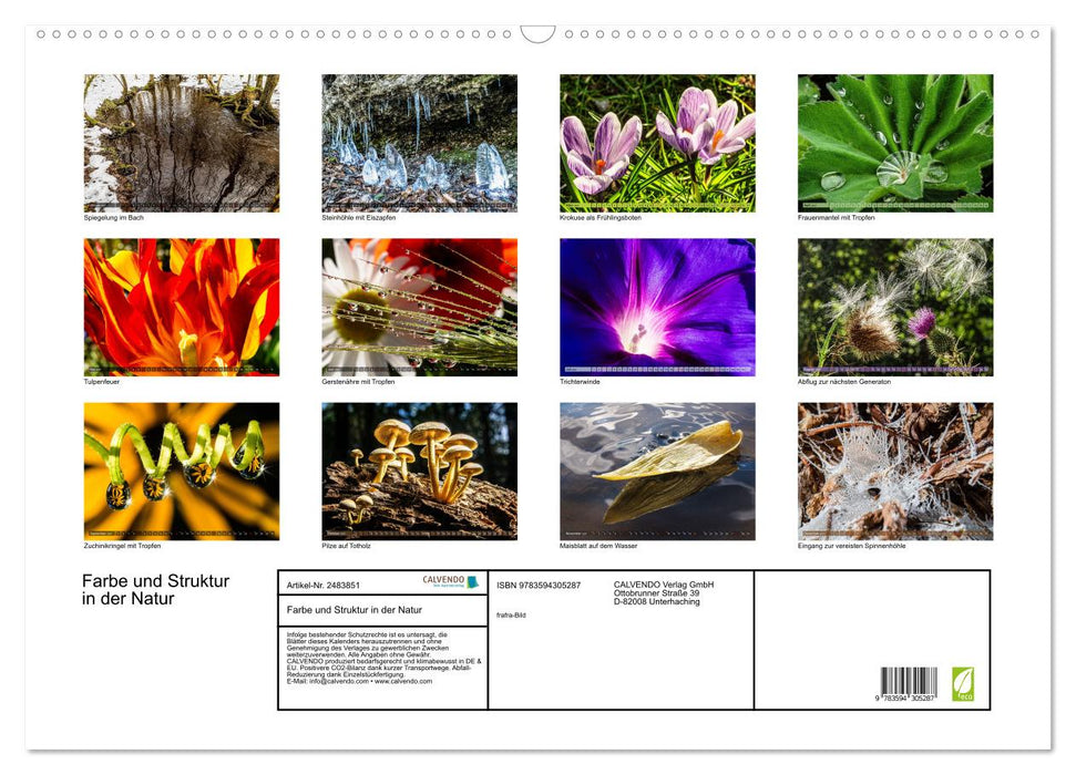 Farbe und Struktur in der Natur (CALVENDO Wandkalender 2027)