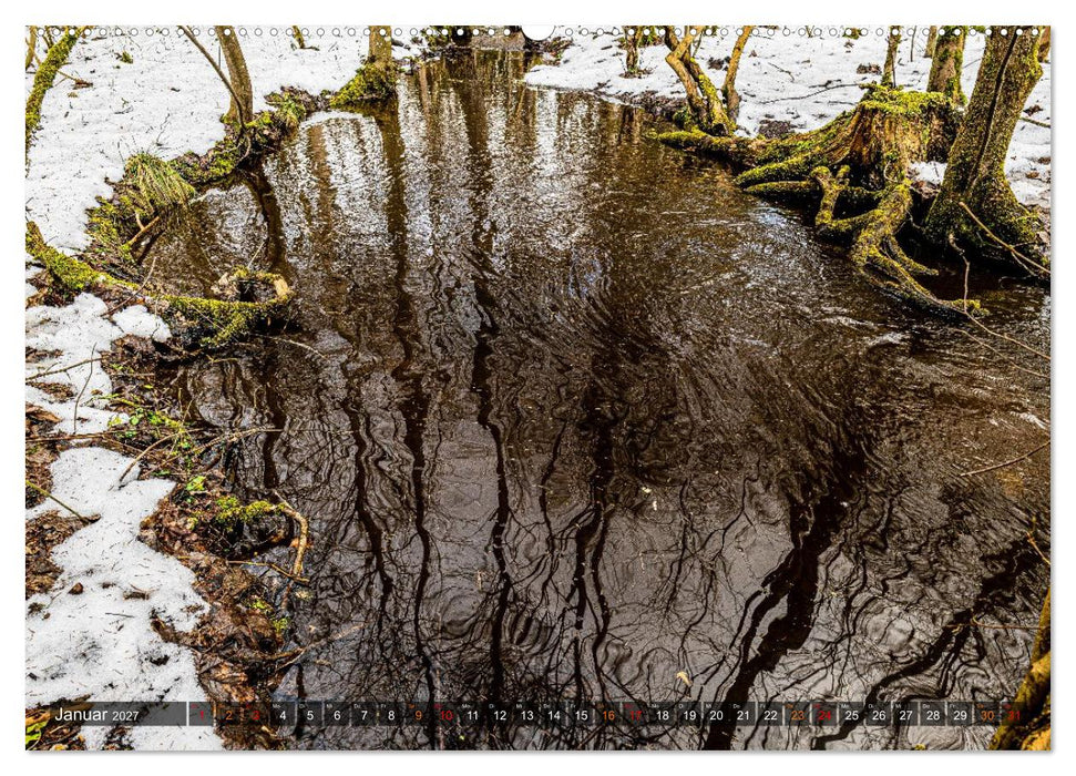 Farbe und Struktur in der Natur (CALVENDO Wandkalender 2027)