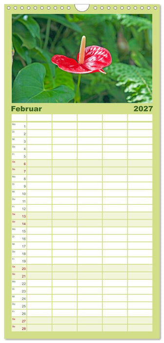 Geheimnisse des Regenwaldes (CALVENDO Familienplaner 2027)
