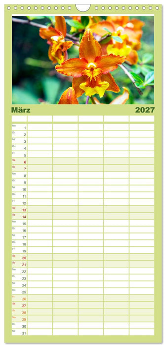 Geheimnisse des Regenwaldes (CALVENDO Familienplaner 2027)