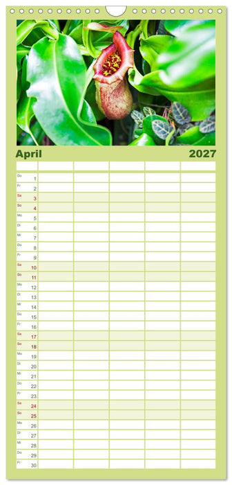 Geheimnisse des Regenwaldes (CALVENDO Familienplaner 2027)