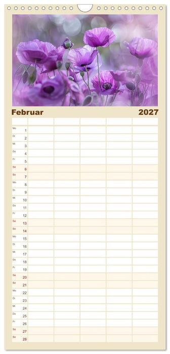 Bezaubernde Mohnblumen (CALVENDO Familienplaner 2027)
