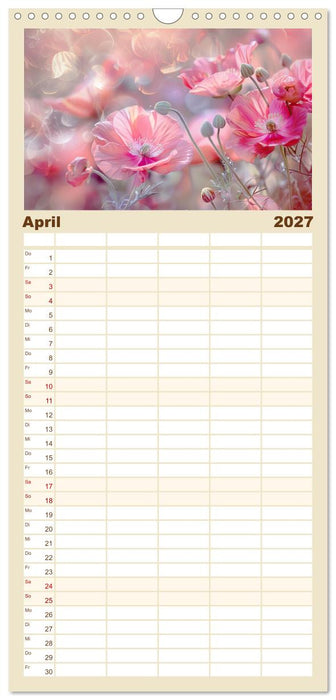 Bezaubernde Mohnblumen (CALVENDO Familienplaner 2027)