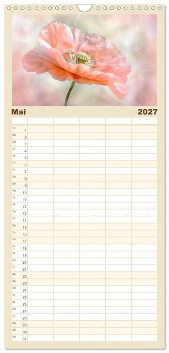 Bezaubernde Mohnblumen (CALVENDO Familienplaner 2027)