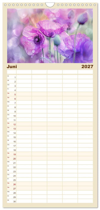 Bezaubernde Mohnblumen (CALVENDO Familienplaner 2027)