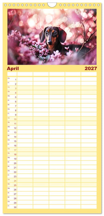Zauberhafte Dackel (CALVENDO Familienplaner 2027)