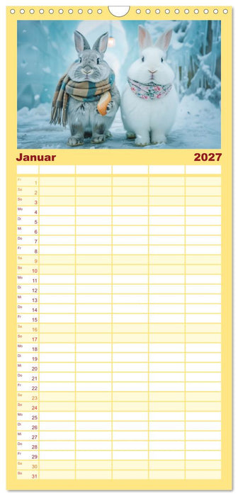 Lustige Hasengeschichten (CALVENDO Familienplaner 2027)
