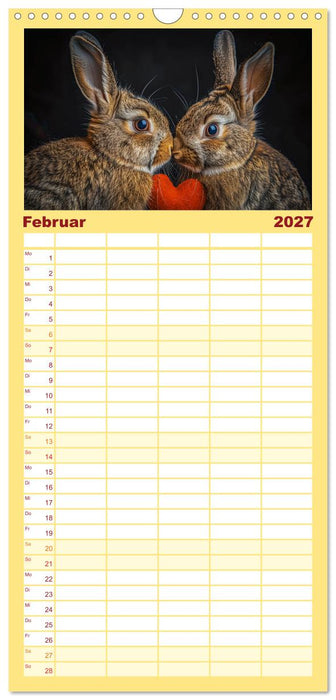 Lustige Hasengeschichten (CALVENDO Familienplaner 2027)
