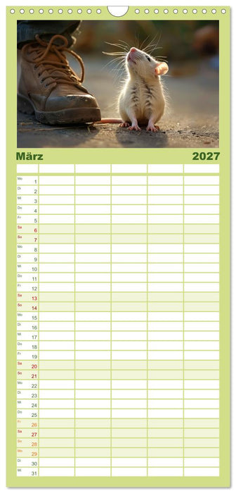 Mein bester Kumpel ist eine Ratte (CALVENDO Familienplaner 2027)