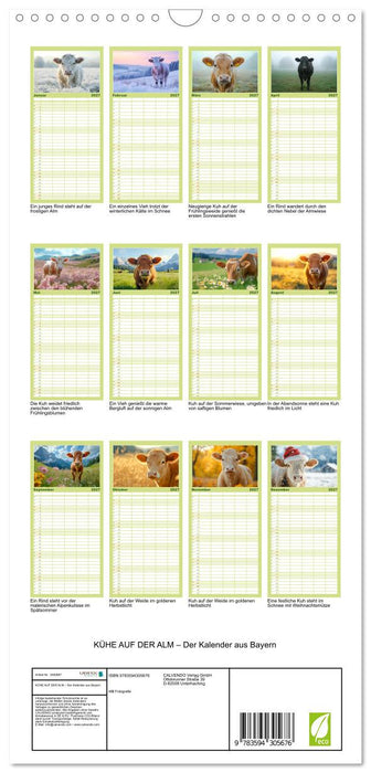 KÜHE AUF DER ALM – Der Kalender aus Bayern (CALVENDO Familienplaner 2027)