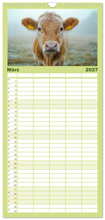 KÜHE AUF DER ALM – Der Kalender aus Bayern (CALVENDO Familienplaner 2027)