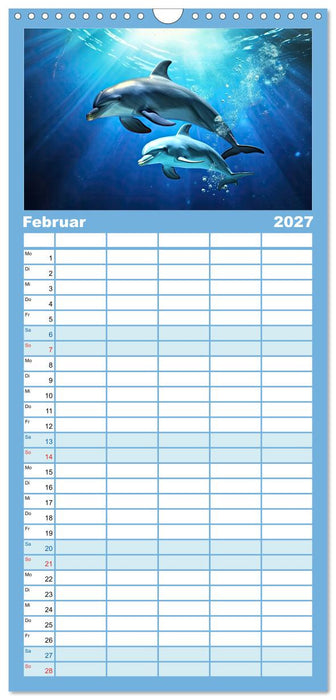 Tierkinder der Meere - entdecke ihre Welt (CALVENDO Familienplaner 2027)