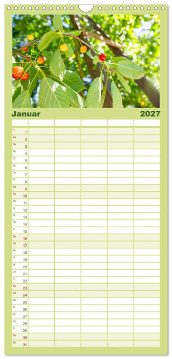 Kirschen aus dem Garten – Erntekalender (CALVENDO Familienplaner 2027)