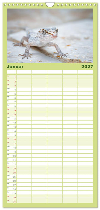 Kleine Echsen haben Spass (CALVENDO Familienplaner 2027)
