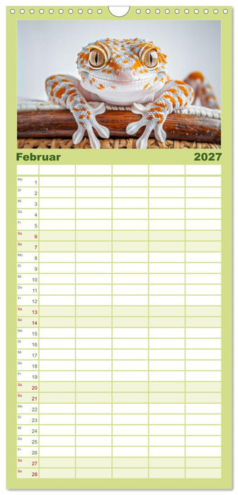 Kleine Echsen haben Spass (CALVENDO Familienplaner 2027)