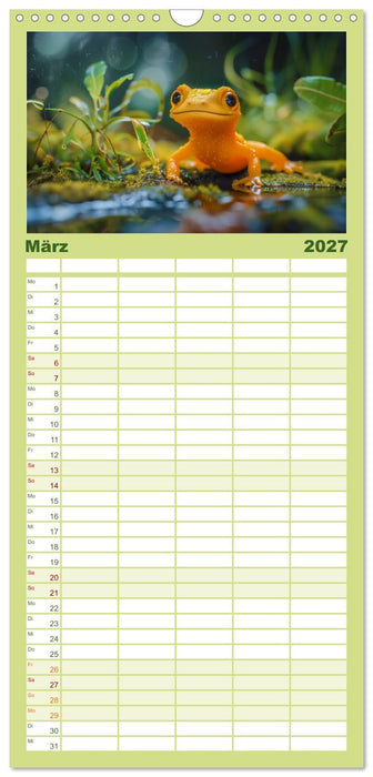 Kleine Echsen haben Spass (CALVENDO Familienplaner 2027)