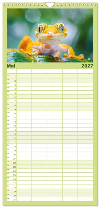 Kleine Echsen haben Spass (CALVENDO Familienplaner 2027)