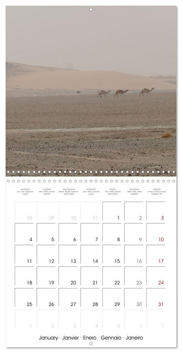 Desert - unknown exciting (CALVENDO Monthly Calendar 2027)