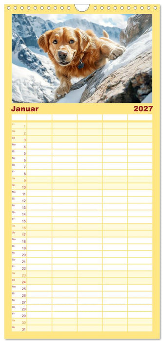Lustige Sportarten für Hunde (CALVENDO Familienplaner 2027)