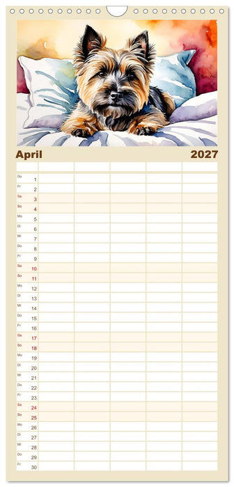 Hundeträume (CALVENDO Familienplaner 2027)