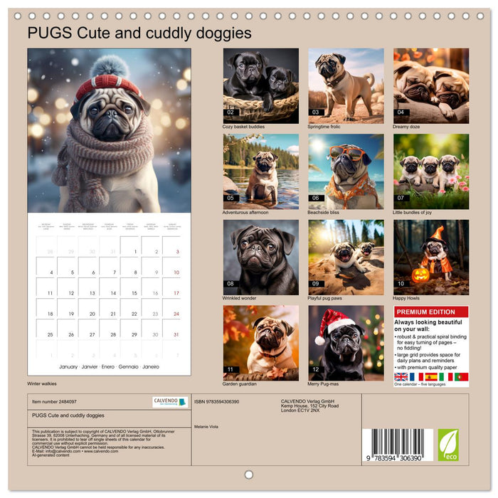 PUGS Cute and cuddly doggies (CALVENDO Monthly Calendar 2027)