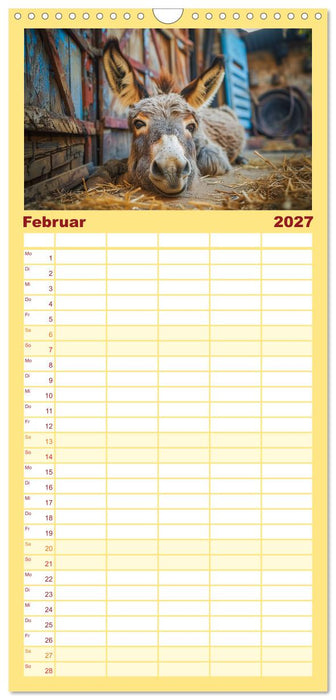Lustige Eselgeschichten (CALVENDO Familienplaner 2027)