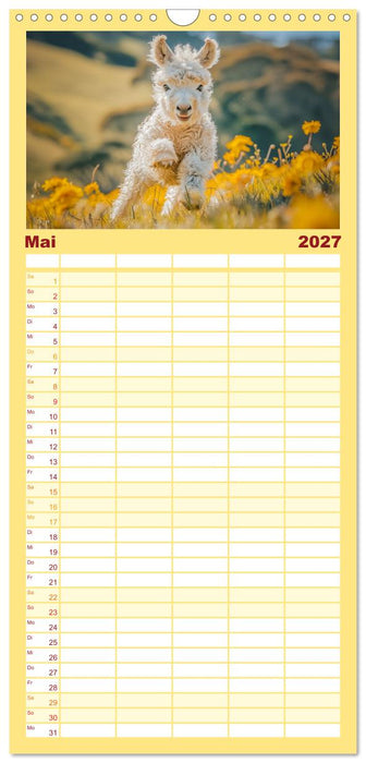 Lustige Eselgeschichten (CALVENDO Familienplaner 2027)