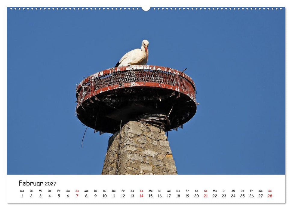 Rodenbach im Wandel der Zeit (CALVENDO Wandkalender 2027)